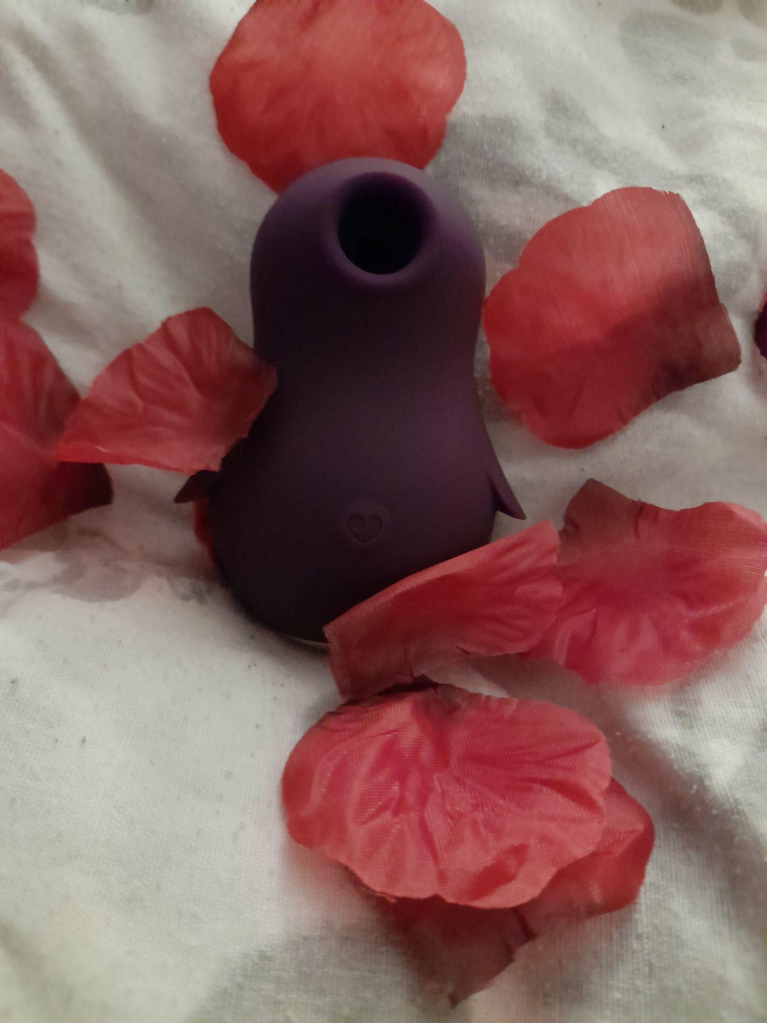 Lovehoney Pocket Pal Clitoral Stimulator Review: A Very Naughty Little Penguin!