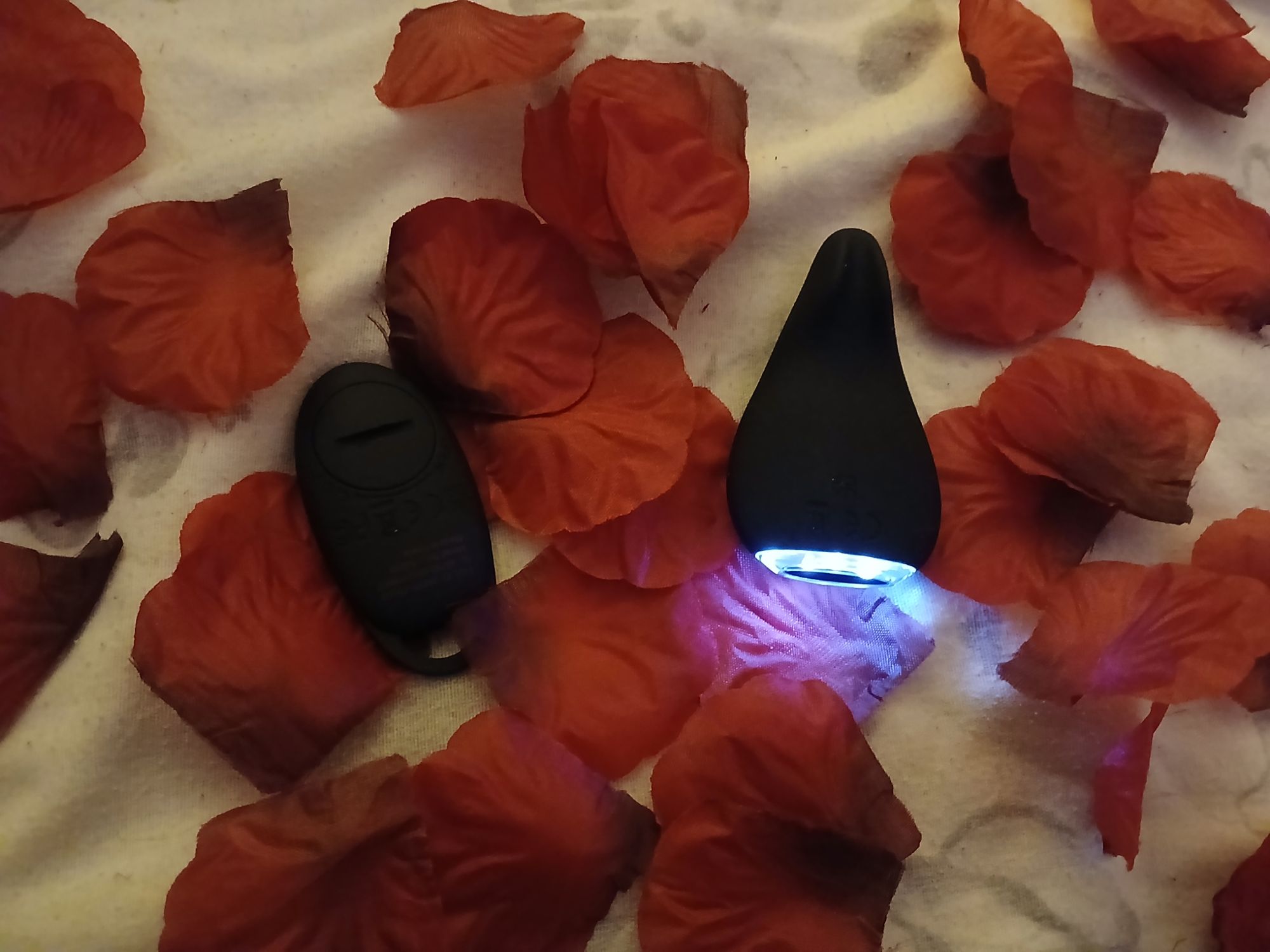 Mantric Remote Control Knicker Vibrator Review: Was It Worth The Money?